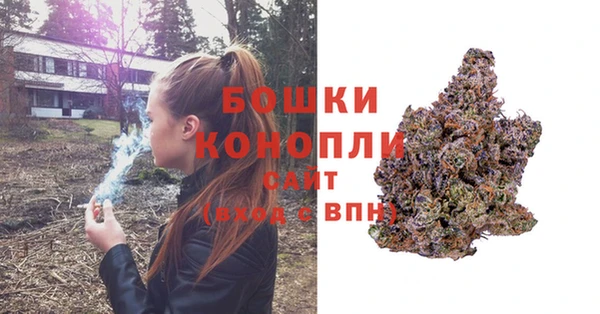 шишки Армянск