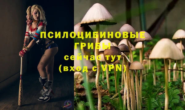 дживик Аркадак